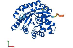 Protein Structure (PS) image for TatD DNase Domain Containing 3 (TATDN3) (AA 1-274) protein (His tag) (ABIN7544230)