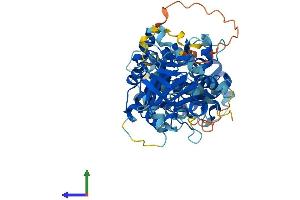 Protein Structure (PS) image for TBC1 Domain Family, Member 24 (TBC1D24) (AA 1-559) protein (His tag) (ABIN7544324)