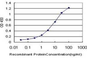Detection limit for recombinant GST tagged CREB5 is approximately 0. (CREB5 antibody  (AA 1-99))