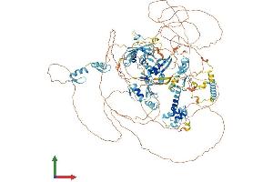 AlphaFold protein structure predicition of Mouse Recombinant Adnp2 Protein, UniprotID Q8CHC8 (ADNP2 Protein (AA 1-1165) (His tag))