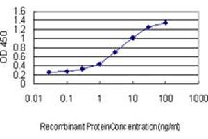 Detection limit for recombinant GST tagged ALAS1 is approximately 0. (ALAS1 antibody  (AA 1-98))