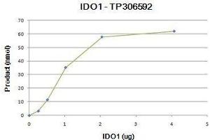 Bioactivity measured with Activity Assay (IDO1 Protein (Myc-DYKDDDDK Tag))