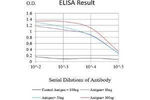 Black line: Control Antigen (100 ng),Purple line: Antigen (10 ng), Blue line: Antigen (50 ng), Red line:Antigen (100 ng) (PAX8 antibody  (AA 300-450))