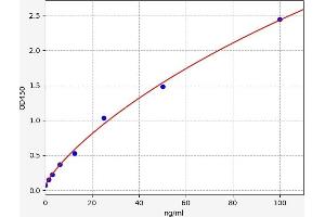 Fibrillarin ELISA Kit