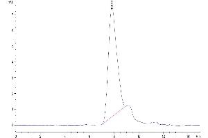 The purity of Mouse CD34 is greater than 95 % as determined by SEC-HPLC. (CD34 Protein (CD34) (AA 35-287) (His tag))