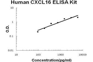Human CXCL16 PicoKine ELISA Kit standard curve