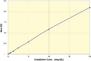 Image no. 2 for Urinary Creatinine Detection Kit (ABIN577638)