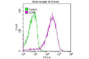Overlay histogram showing Jurkat cells stained with ABIN7127288 (red line) at 1:50. (Recombinant CD99 antibody)