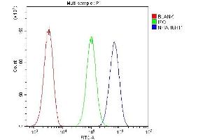Flow Cytometry analysis of U20S cells using anti- NFIA antibody (ABIN6719349). (NFIA antibody  (Middle Region))