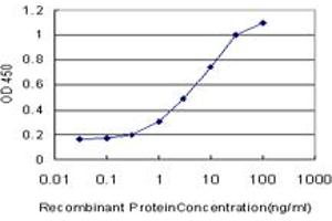 Detection limit for recombinant GST tagged GRK6 is approximately 0. (GRK6 antibody  (AA 71-170))