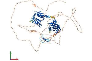 AlphaFold protein structure predicition of Mouse Recombinant Apbb1 Protein, UniprotID Q9QXJ1