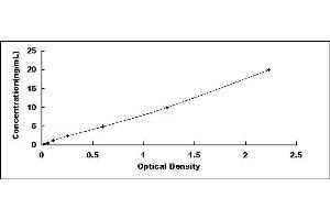 Typical standard curve (PGK1 ELISA Kit)