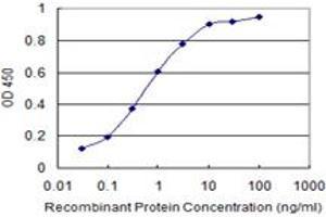 Detection limit for recombinant GST tagged LBX2 is 0. (LBX2 antibody  (AA 95-194))