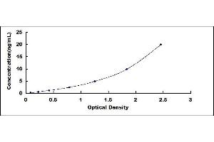 Ryanodine Receptor 2 (Cardiac) (RYR2) ELISA Kit