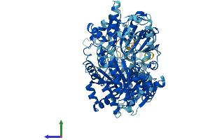 Protein Structure (PS) image for Excision Repair Cross-Complementing Rodent Repair Deficiency, Complementation Group 2 (ERCC2) (AA 1-760) protein (His tag) (ABIN7562210)