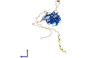 AlphaFold protein structure predicition of Mouse Recombinant Nfkbib Protein, UniprotID Q60778