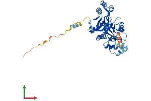 Protein Structure (PS) image for 5'-Nucleotidase, Cytosolic IA (NT5C1A) (AA 1-365) protein (His tag) (ABIN7561987)