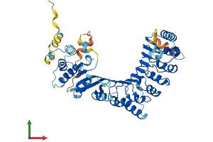 AlphaFold protein structure predicition of Human Recombinant PRAMEF12 Protein, UniprotID O95522 (PRAMEF12 Protein (AA 1-483) (His tag))