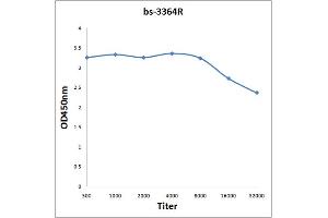 Antigen: 0. (RPS6KA3 antibody  (pThr573))