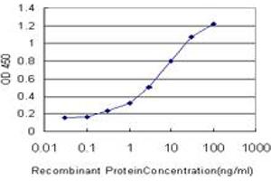 Detection limit for recombinant GST tagged SLC26A4 is approximately 0. (SLC26A4 antibody  (AA 674-754))