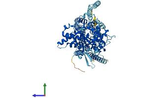 AlphaFold protein structure predicition of Human Recombinant STT3A Protein, UniprotID P46977