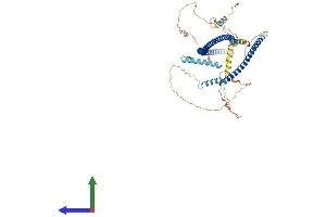 AlphaFold protein structure predicition of Mouse Recombinant Ccdc27 Protein, UniprotID Q3V036 (CCDC27 Protein (AA 1-639) (His tag))