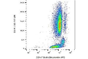 Surface staining of human peripheral blood with anti-human CD147 (MEM-M6/1) biotin. (CD147 antibody  (Biotin))