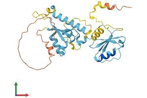 AlphaFold protein structure predicition of Human Recombinant LINC00869 Protein, UniprotID P0C866 (LINC00869 Protein (AA 1-280) (His tag))