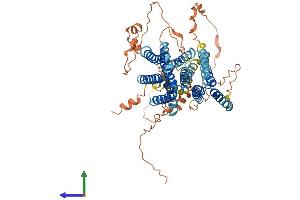 AlphaFold protein structure predicition of Human Recombinant XKR6 Protein, UniprotID Q5GH73