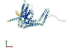 AlphaFold protein structure predicition of Human Recombinant LMBR1 Protein, UniprotID Q8WVP7