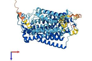 AlphaFold protein structure predicition of Mouse Recombinant Slc5a4a Protein, UniprotID Q9ET37 (Slc5a4a Protein (AA 1-656) (His tag))