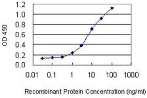 Detection limit for recombinant GST tagged MIPOL1 is 0. (MIPOL1 antibody  (AA 321-423))