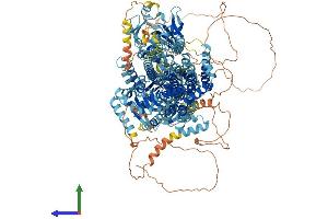 AlphaFold protein structure predicition of Human Recombinant ATP10D Protein, UniprotID Q9P241 (ATP10D Protein (AA 1-1426) (His tag))