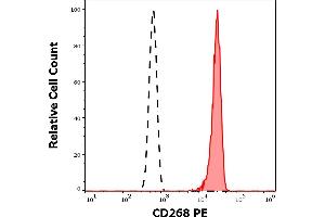 Separation of human CD268 positive lymphocytes (red-filled) from neutrophil granulocytes (black-dashed) in flow cytometry analysis (surface staining) of human peripheral whole blood stained using anti-human CD268 (11C1) PE antibody (10 μL reagent / 100 μL of peripheral whole blood). (TNFRSF13C antibody  (PE))