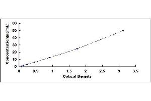 Typical standard curve (TXNRD1 ELISA Kit)