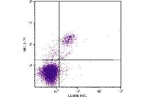 C57BL/6 mouse splenocytes were stained with Mouse Anti-Mouse NK1. (NK-1.1/CD161c antibody  (PE-Cy7))