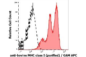 Separation of bovine lymphocytes stained using anti-bovine MHC Class I (IVA26) purified antibody (concentration in sample 10 μg/mL, GAM APC, red-filled) from bovine lymphocytes unstained by primary antibody (GAM APC, black-dashed) in flow cytometry analysis (surface staining). (MHC Class I (Alpha+beta2m Chains) antibody)