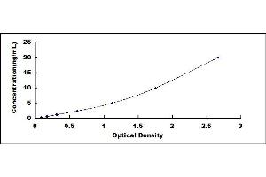 Typical standard curve (Connexin 43/GJA1 ELISA Kit)