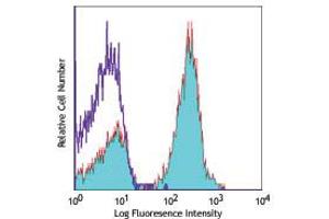 Flow Cytometry of anti-CD19 APC - 200-526-N81 Flow Cytometry of Anti-CD19 Allophycocyanin Conjugated Monoclonal Antibody.