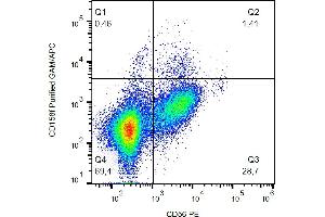 Flow cytometry analysis (surface staining) of human peripheral blood with anti-CD158f (UP-R1) purified / GAM-APC. (KIR2DL5A antibody)