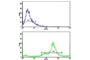 Flow Cytometry (FACS) image for anti-N-Myc Downstream Regulated 1 (NDRG1) (AA 12-40) antibody (ABIN3028862)