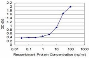 Detection limit for recombinant GST tagged TESK2 is approximately 0. (TESK2 antibody  (AA 405-542))