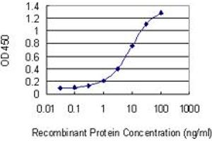 Detection limit for recombinant GST tagged NPAS4 is 0. (NPAS4 antibody  (AA 704-802))