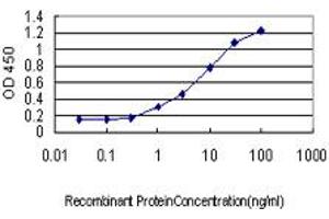 Detection limit for recombinant GST tagged KLK8 is approximately 0. (Kallikrein 8 antibody  (AA 97-204))
