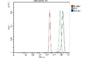 Flow Cytometry analysis of U20S cells using anti-Rab9/RAB9A antibody (ABIN3044539). (RAB9A antibody  (C-Term))
