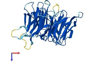 Protein Structure (PS) image for WD Repeat Domain 54 (WDR54) (AA 1-334) protein (His tag) (ABIN7545166)