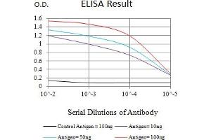 Black line: Control Antigen (100 ng),Purple line: Antigen (10 ng), Blue line: Antigen (50 ng), Red line:Antigen (100 ng) (MSI2 antibody  (AA 1-190))