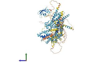 AlphaFold protein structure predicition of Human Recombinant HERC2P3 Protein, UniprotID Q9BVR0 (HERC2P3 Protein (AA 1-1158) (His tag))