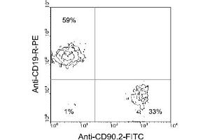 Flow Cytometry (FACS) image for anti-CD90 (THY1) antibody (FITC) (ABIN371031) (CD90 antibody  (FITC))