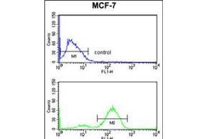 Flow cytometry analysis of MCF-7 cells (bottom histogram) compared to a negative control cell (top histogram).
